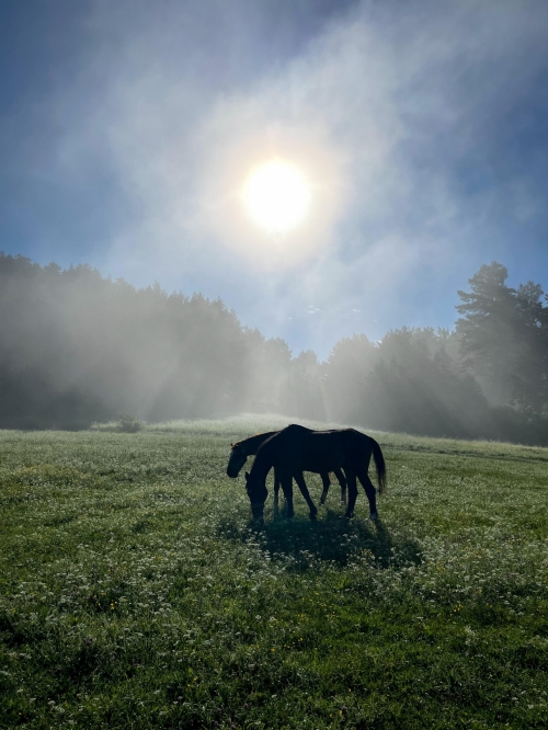 202503181534330.katarina-scigulinska-zemsky-raj