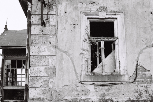 202503181534330.viktoria-duffala-seria-matysova-2