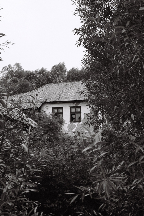 202503181534330.viktoria-duffala-seria-matysova-3