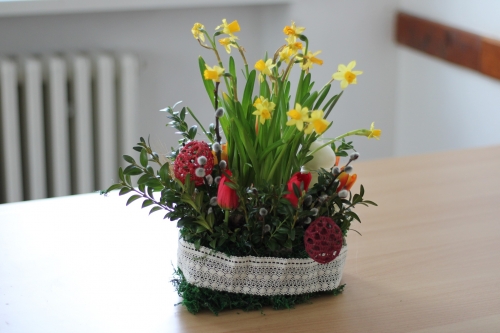 202504111304010.img-3508