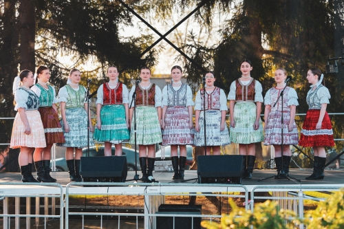 202505150815590.mg-6805