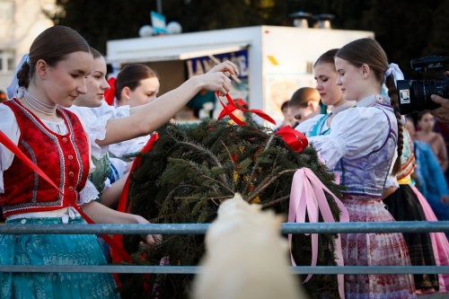 202505150815590.mg-6940