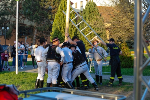 202505150815590.mg-7021