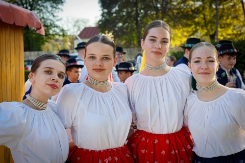 202505150816000.mg-6686