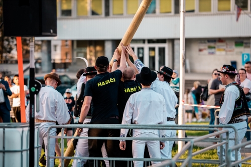 202505150816000.mg-6961