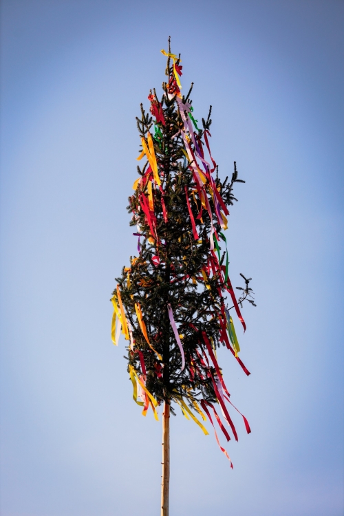 202505150816000.mg-6983