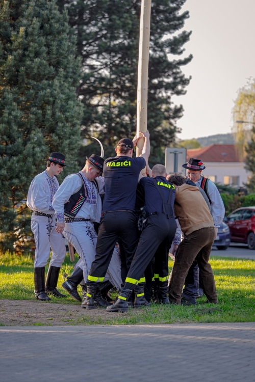 202505150816000.mg-6986