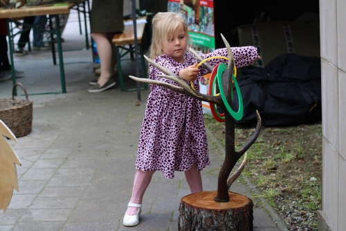 202506110950250.img-4631