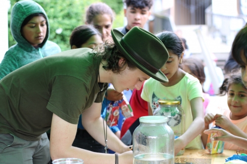 202506110950260.img-4609