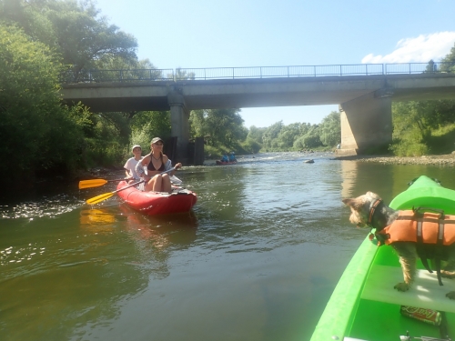 202507080939040.p7031104