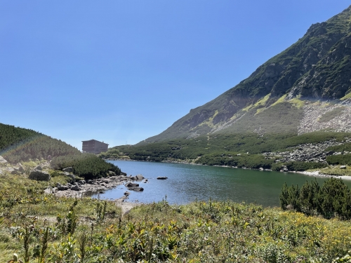 202508181128280.img-4853