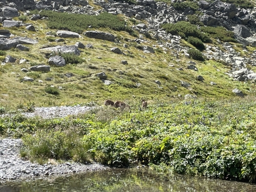 202508181128280.img-4866