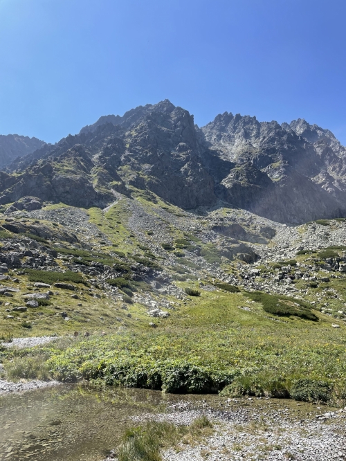 202508181128280.img-4867