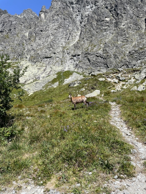 202508181128280.img-4874