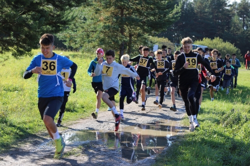 202510091303550.img-8316