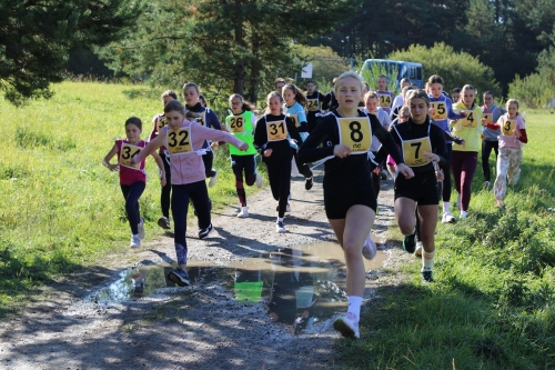 202510091303550.img-8366