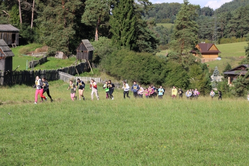 202510091303550.img-8372