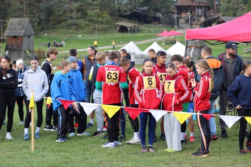 202510231036360.img-8542