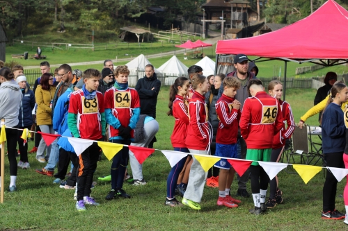 202510231036360.img-8545