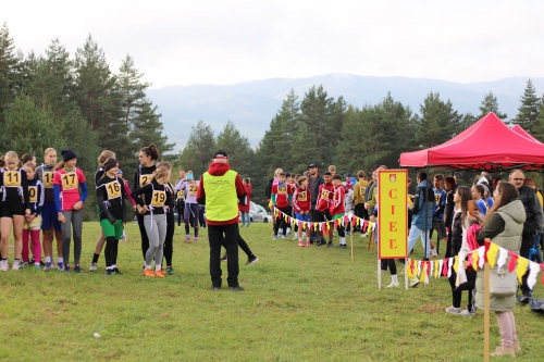 202510231036360.img-8554