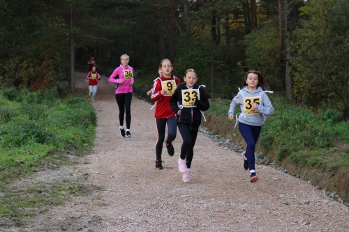 202510231036360.img-8578