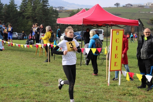 202510231036360.img-8582