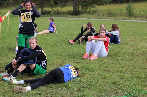 202510231036360.img-8596