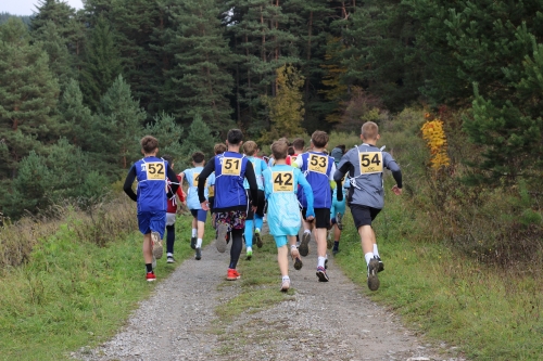 202510231036360.img-8617