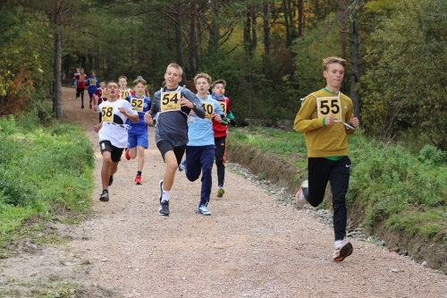 202510231036360.img-8629