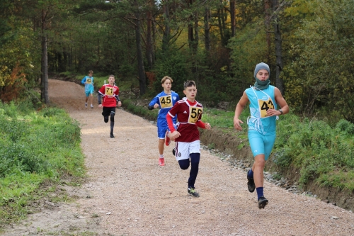 202510231036360.img-8631