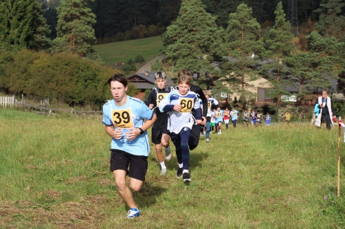 202510231036360.img-8635