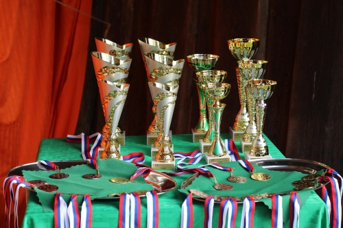 202510231036360.img-8681