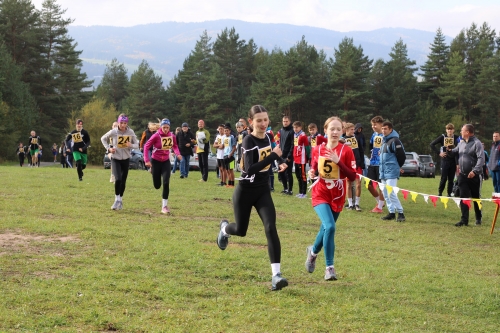 202510231036370.img-8588