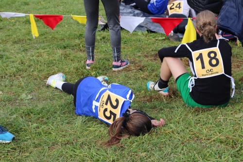 202510231036370.img-8594