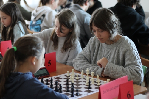 202511140839540.img-8699