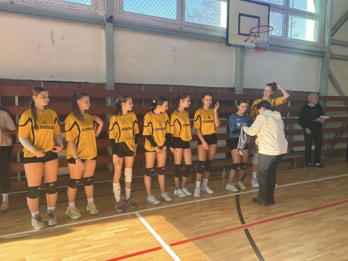 202511241058280.dievcata