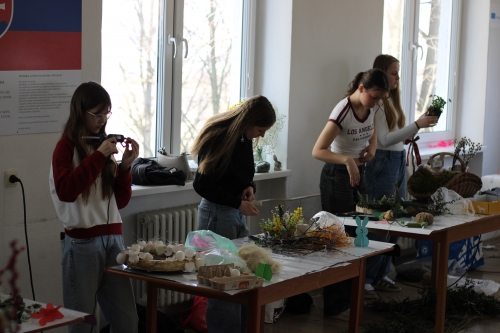 202604131103330.img-9088