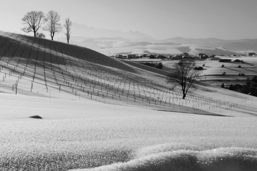 202604131112120.iii-ludmila-miklosova-nad-mestom