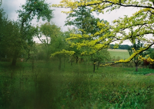 202604131112500.iii-jana-lampartova-otcova-morusa