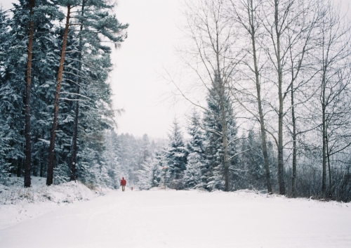 202604131113100.iii-jana-lampartova-prechadzka-na-osly