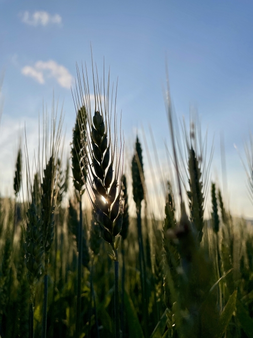 202604131114020.i-nelly-pavelcakova-klasok