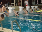 Okresné kolo v plávaní žiakov - 19.3.2010
