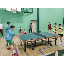 article-stolny-tenis-1922026